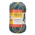 Regia  PAIRFECT 4 Ply Color 100g Contrasting Lines