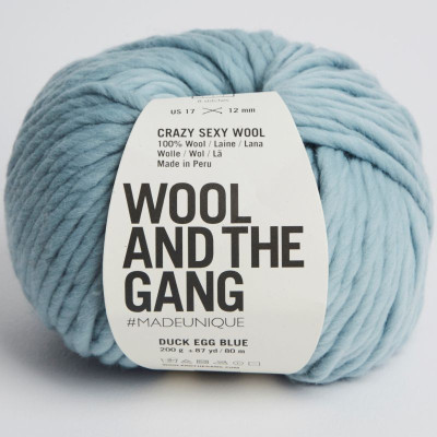 Wool and the Gang Crazy Sexy Wool										 - Duck Egg Blue