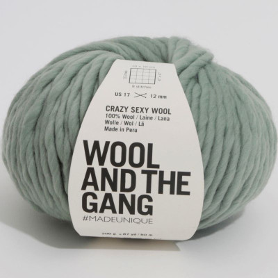 Wool and the Gang Crazy Sexy Wool										 - Eucalyptus Green