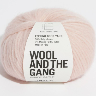 Wool and the Gang Feeling Good Yarn										 - Cameo Rose