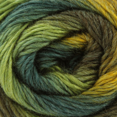 King Cole Riot DK										 - 1689 Foliage