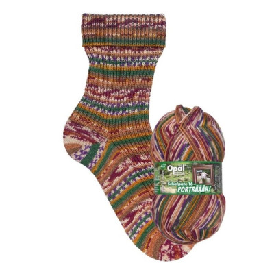 Opal Schafpate 16 Portrait										 - 11455 Sock the Connoisseur