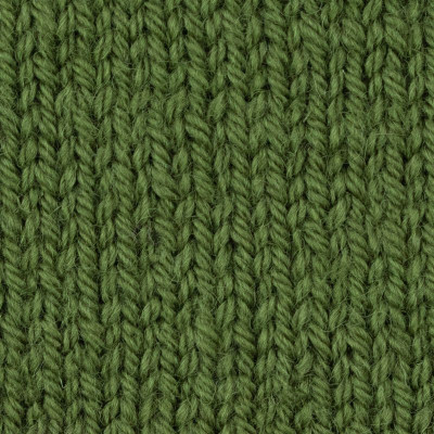 West Yorkshire Spinners ColourLab Aran										 - 1177 Moss Green