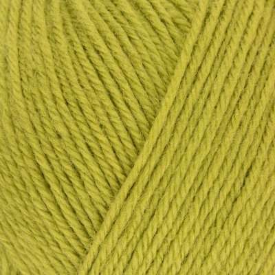 West Yorkshire Spinners Colour Lab DK										 - 186 Pear Green