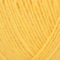 Regia 4 Ply Uni 100g